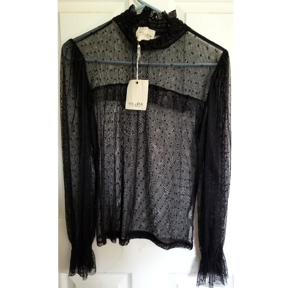 Sheer Blouse